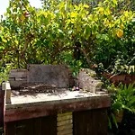 Rosa *