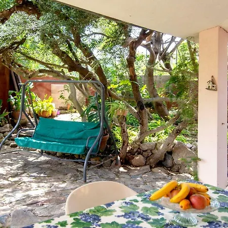 Rosa וילסימיוס