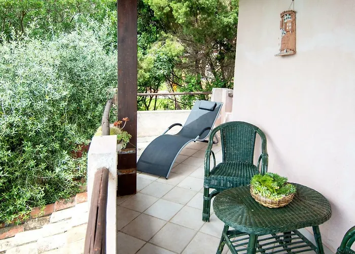 Rosa 빌라시미우스